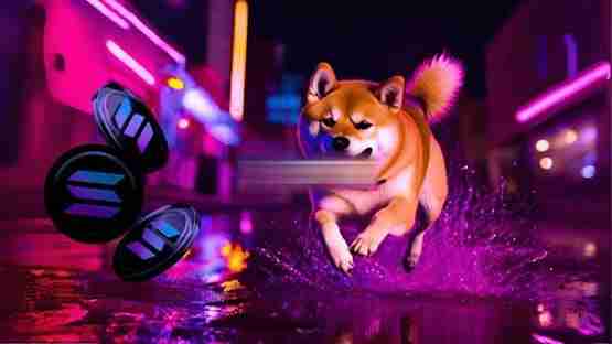 cboe bzx交易所再次提交solanaetf申请!sec是否会放行?